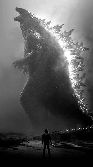 Dark Aesthetic Godzilla King Of The Monsters Hd Wallpaper