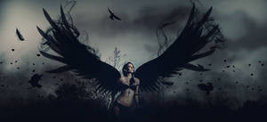 Dark Angel Black Wings Wallpaper