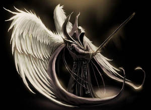 Dark Angel White Wings Wallpaper