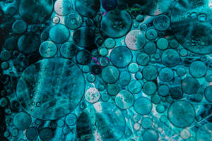 Dark Blue Bubbles Wallpaper