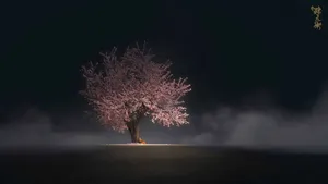 Dark Cherry Blossom Tree In The Nowhere Wallpaper