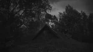 Dark Depressing Abandoned House In The Woods Wallpaper