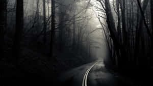 Dark Depressing Road In The Forest Wallpaper