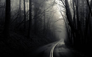 Dark Forest Black And White Wallpaper