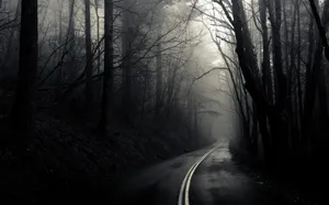 Dark Forest Black And White Wallpaper