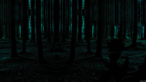 Dark Forest Night Wallpaper