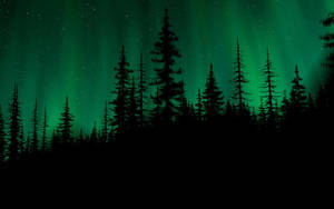 Dark Green Aurora Borealis Aesthetic Wallpaper