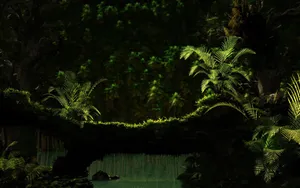 Dark Green Forest Wallpaper