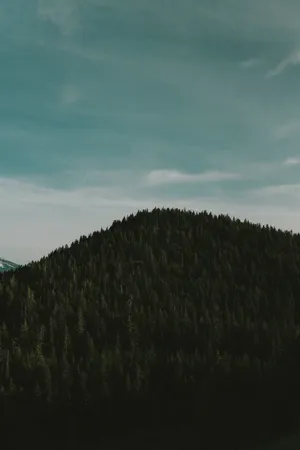 Dark Iphone Aesthetic Mountain Wallpaper