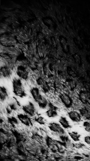 Dark Leopard Print Wallpaper