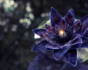 Dark Mystical Lotus Wallpaper