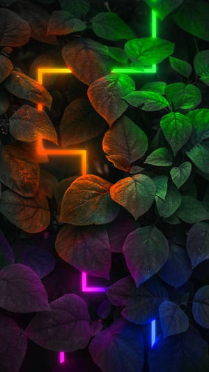 Dark Neon Lights With Leaves Wallpaper