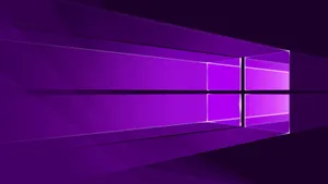 Dark Neon Purple Windows Logo Wallpaper