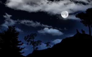 Dark Night And Howling Wolves Wallpaper