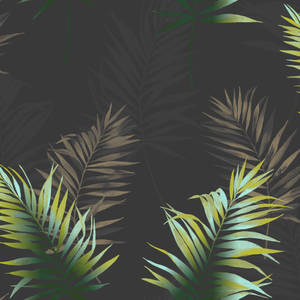 Dark Palm Leaf Wallpaper