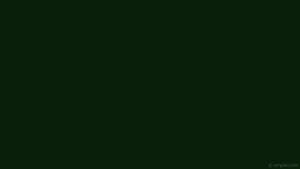 Dark Plain Green Wallpaper