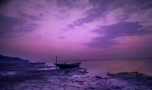 Dark Purple Aesthetic Seashore Wallpaper