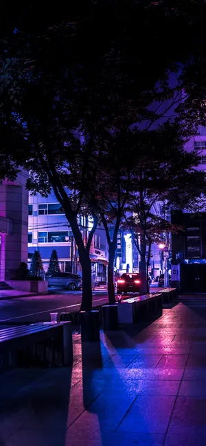Dark Purple Night Street Wallpaper