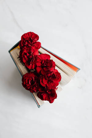 Dark Red Flower Bookmark Wallpaper