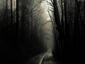 Dark Road In Gothic Forest Wallpaper