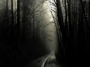 Dark Road In Gothic Forest Wallpaper