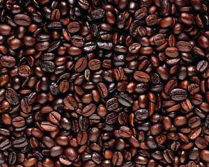 Dark Roasted Coffee Beans Shining Wallpaper