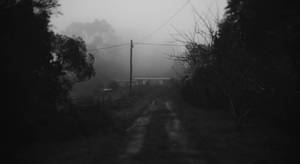 Dark Theme Foggy Area Dirt Road Wallpaper