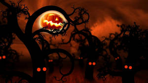 Dark Woods Halloween Aesthetic Art Wallpaper