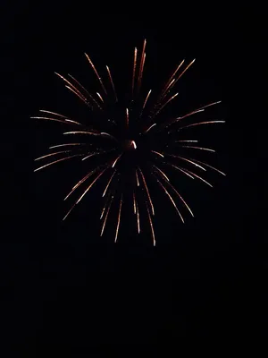 Dark Yellow Fireworks Display Portrait Wallpaper