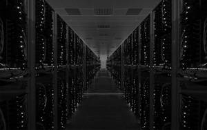 Database Center Monochrome Wallpaper