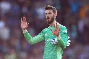 David De Gea Gloves Off Wallpaper