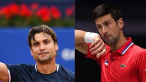 David Ferrer And Novak Djokovic Wallpaper