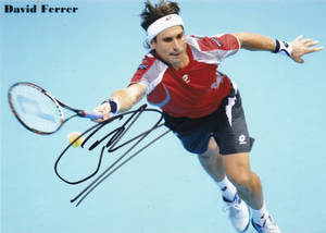 David Ferrer Autograph Wallpaper