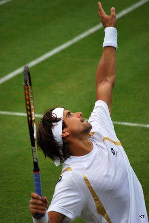 David Ferrer Exquisite Serve Form Wallpaper