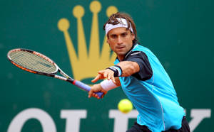 David Ferrer Focused Eyes Wallpaper