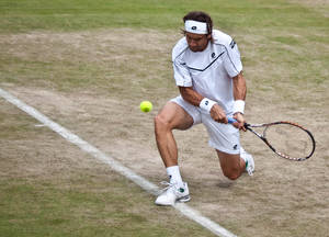 David Ferrer Kneeling Wallpaper