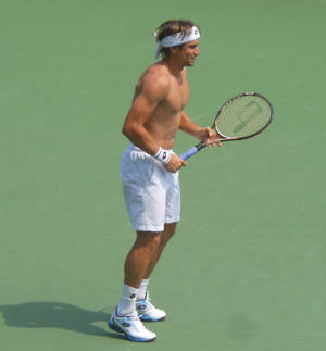 David Ferrer Shirtless Wallpaper