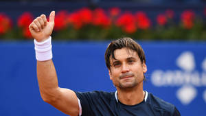 David Ferrer Thumbs Up Wallpaper