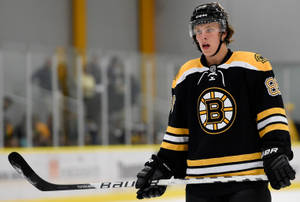 David Pastrnak Czech Ice Hockey Player Reaction Wallpaper