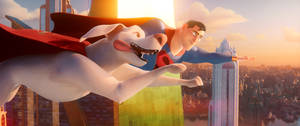 Dc League Of Super Pets Flying Superman Wallpaper