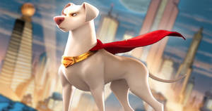 Dc League Of Super Pets Krypto Dog Wallpaper