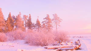 December Pink Winter Wonderland Wallpaper