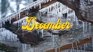 December Winter Solstice Wallpaper