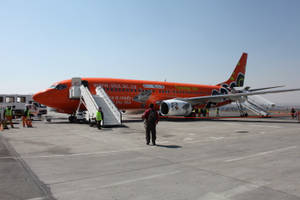 Dedicated Mango Airlines Airport Personnel Ensuring Smooth Operations. Wallpaper