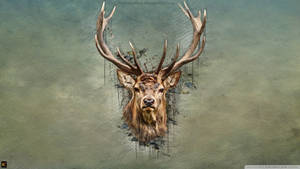 Deer Hunting Head Artistic Painting Wallpaper