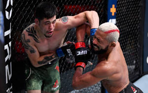 Deiveson Figueiredo Vs Brandon Moreno Wallpaper