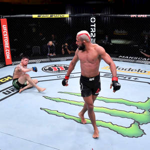 Deiveson Figueiredo Walking Away From Opponent Wallpaper