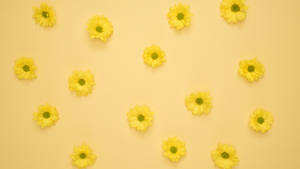 Delicate Neon Yellow Tiny Sunflowers Wallpaper