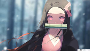 Demon Slayer Nezuko Cute Eyes Wallpaper