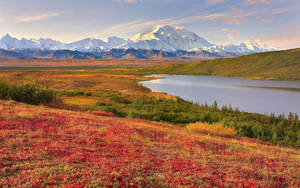 Denali With Red Field Wallpaper